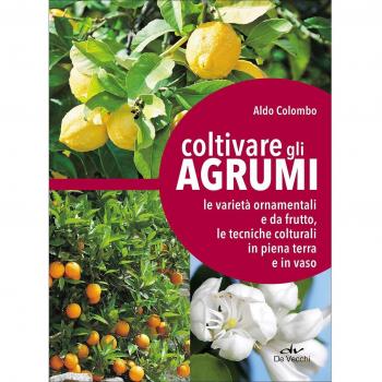 Coltivare gli agrumi. Le varietà ornamentali e da frutto, le tecniche colturali in piena terra e in vaso