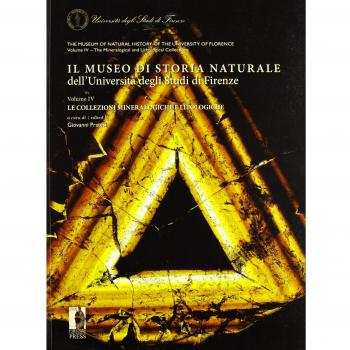 Il museo di storia naturale dell'Università degli Studi di Firenze. Le collezioni mineralogiche e litologiche. Ediz. italiana e inglese