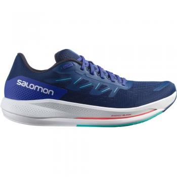 Salomon Zapatillas de running hombre Spectur