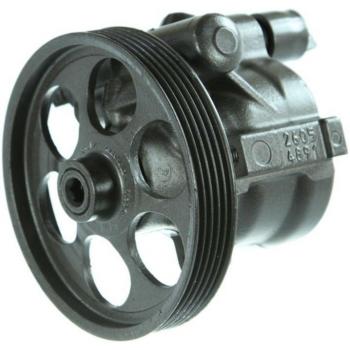 Bomba de Direção SASIC 7074002