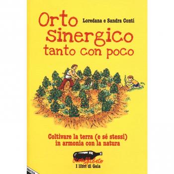 ORTO SINERGICO TANTO CON POCO