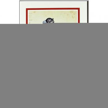 La variazione degli animali e delle piante allo stato domestico