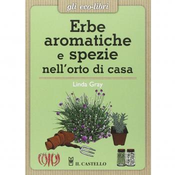 Erbe aromatiche e spezie nell'orto di casa