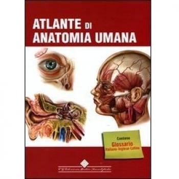 Atlante di anatomia umana. Ediz. illustrata