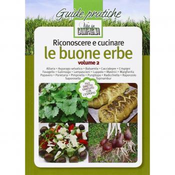 Riconoscere e cucinare le buone erbe. Alliaria. Asparago selvatico. Balsamita. Caccialepre. Crispigni. Favagello. Galinsoga. Lampascioni. Luppolo. Mastrici... (Vol. 2)