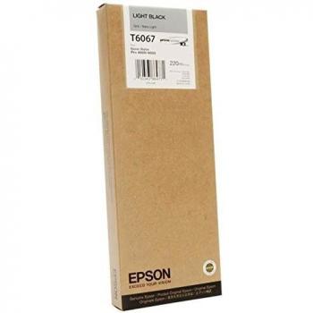 Epson T6067