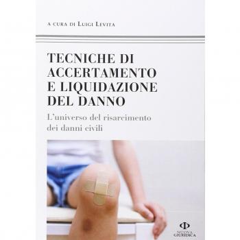 Tecniche di accertamento e liquidazione del danno. L'universo del risarcimento dei danni civili