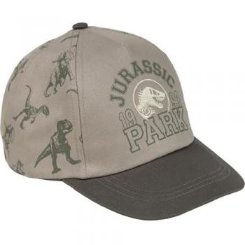 Gorra Jurassic Park 1993 Niño Marrón