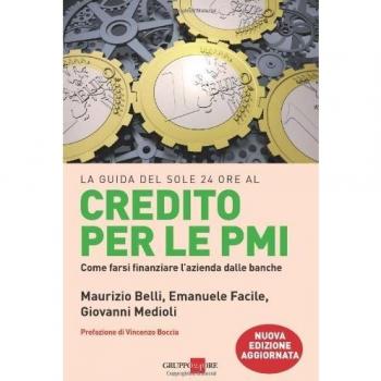 Credito per le PMI. Come farsi finanziare l'azienda dalle banche