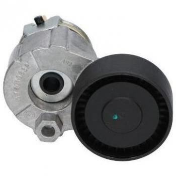 Polea tensora KAVO PARTS DTP-6506 para correa poli V