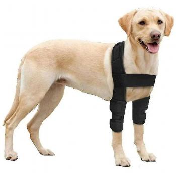 Férula Canina para Rodilla del Perro