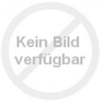 Nokian Hakkapeliitta CR4 235/65 R16 121/119R Pneus de Inverno