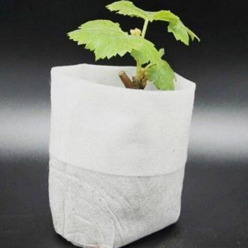 Bolsas Biodegradables para Vivero 100/500 Uds