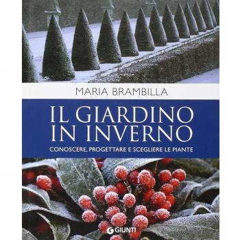 Il giardino in inverno. Conoscere, progettare e scegliere le piante. Ediz. illustrata