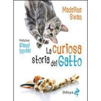 La curiosa storia del gatto