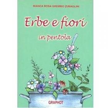 Erbe e fiori in pentola