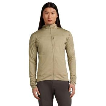 Icebreaker Polaire Technique 300 Merino à Capuche Beige pour Homme