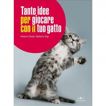 Tante idee per giocare con il tuo gatto