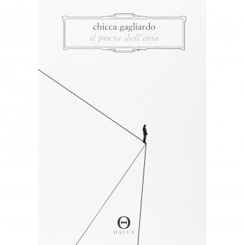 Il poeta dell'aria. Romanzo in 33 lezioni di volo