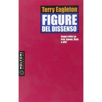 Figure del dissenso. Saggi critici su Fish, Spivak, Zizek e altri