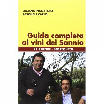 Guida completa ai vini del Sannio