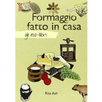 Formaggio fatto in casa