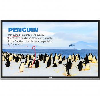 BenQ Monitor 9H.F2FTC.DE2 con VGA, HDMI, USB e Ethernet (6 ms)