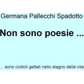 Non sono poesie... Sono ciottoli gettati nello stagno della vita