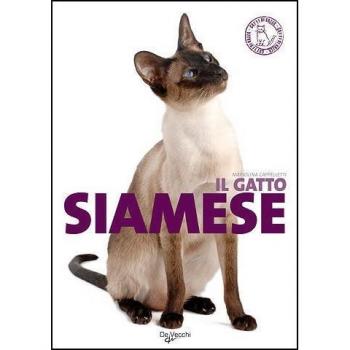 Il gatto siamese. Ediz. illustrata