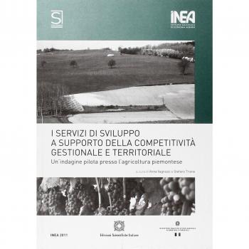 I servizi di sviluppo della competitività