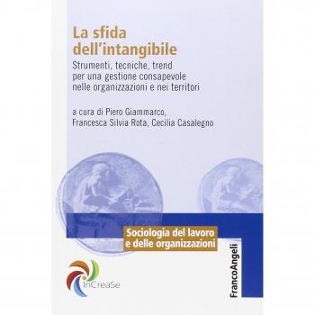 La sfida dell'intangibile. Strumenti, tecniche, trend per una gestione consapevole nelle organizzazioni e nei territori