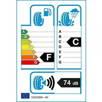 Firestone Winterhawk C M+S