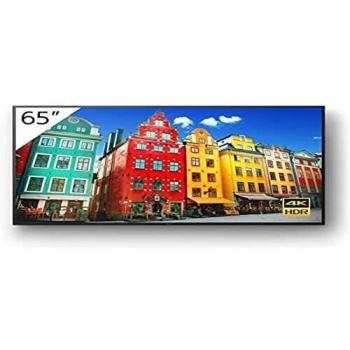 Sony Professional BRAVIA FW-65BZ30J Monitor IPS 65 4K Ultra HD
