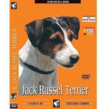 Jack Russell Terrier. DVD
