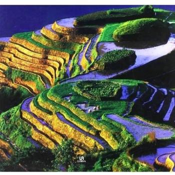 China. El Reino del Dragón