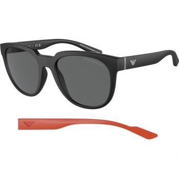 Emporio Armani EA4205 500187