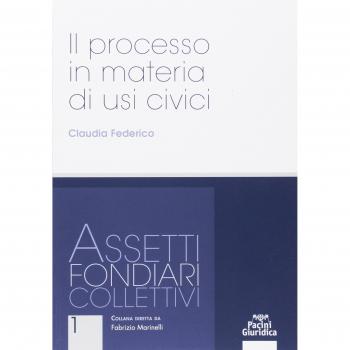 Il processo in materia di usi civili