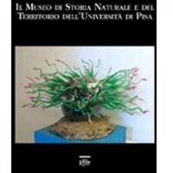 Il museo di storia naturale e del territorio dell'università di Pisa
