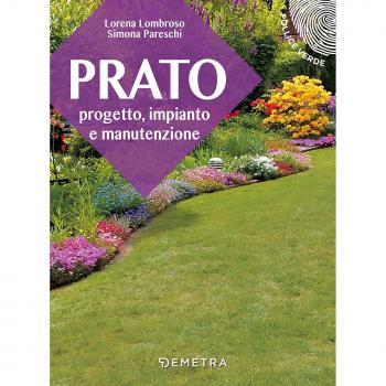 Prato. Progetto, impianto e manutenzione
