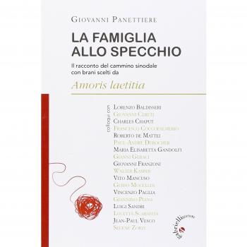La famiglia allo specchio. Il racconto del cammino sinodale con brani scelti da Amoris Laetitia