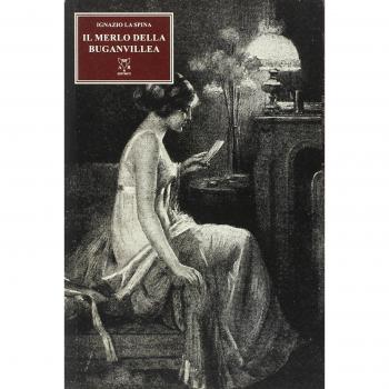 Il merlo della bouganvillea