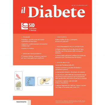 Il diabete (2016) (Vol. 28)