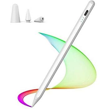 Penna Stylus Pro iPad
