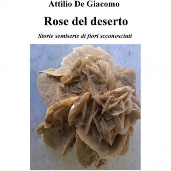 Rose del deserto