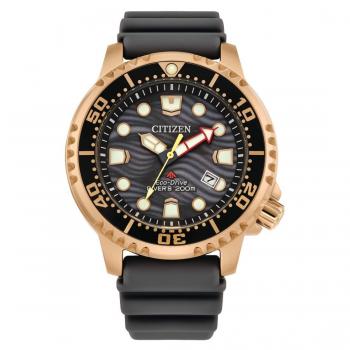 Reloj Citizen Promaster BN0163-00H Diver's acero