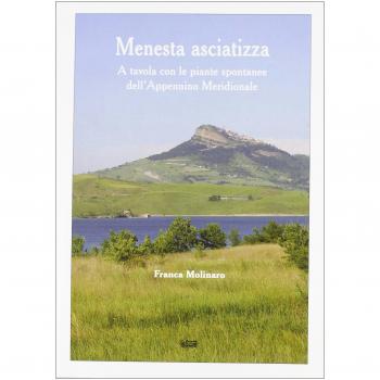 Menesta asciatizza. A tavola con le piante spontanee dell'Appennino meridionale