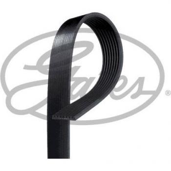 Correia GATES 8PK1295XS para Mazda CX-7