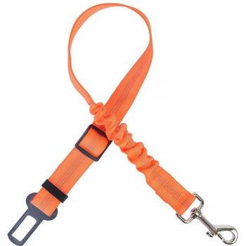 Cinturón Seguro PetAuto