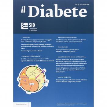 Il diabete (2017) (Vol. 29)