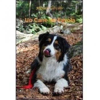 Un cane da favola